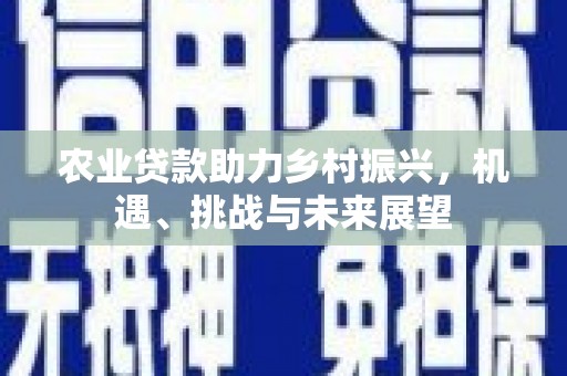 颍上农业贷款助力乡村振兴，机遇、挑战与未来展望