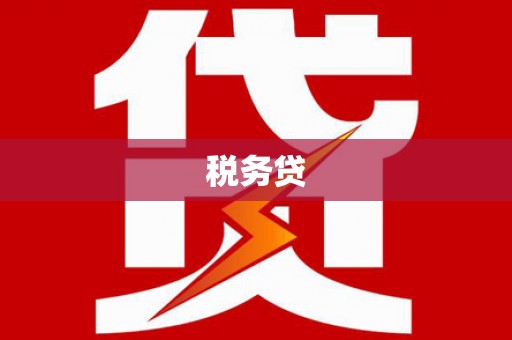 颍上税务贷