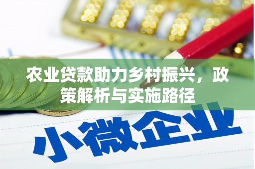 颍上农业贷款助力乡村振兴，政策解析与实施路径