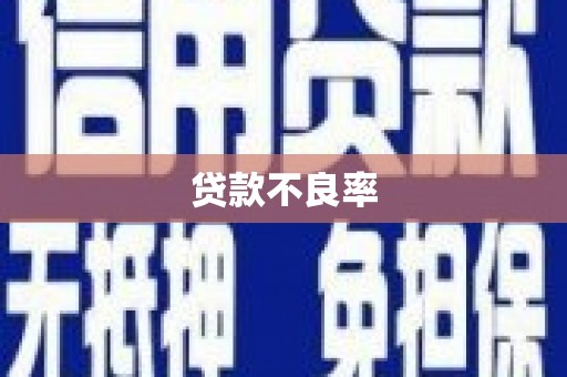 颍上贷款不良率