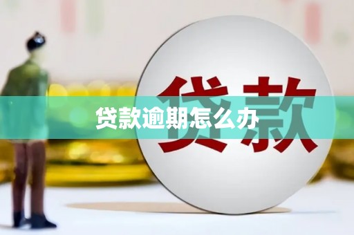 颍上贷款逾期怎么办