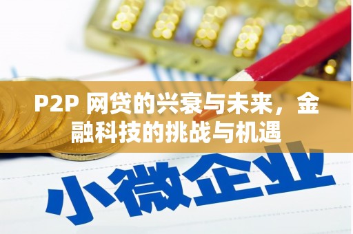 颍上P2P 网贷的兴衰与未来，金融科技的挑战与机遇