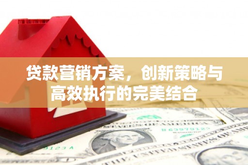颍上贷款营销方案，创新策略与高效执行的完美结合