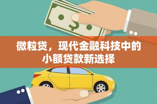 颍上微粒贷，现代金融科技中的小额贷款新选择