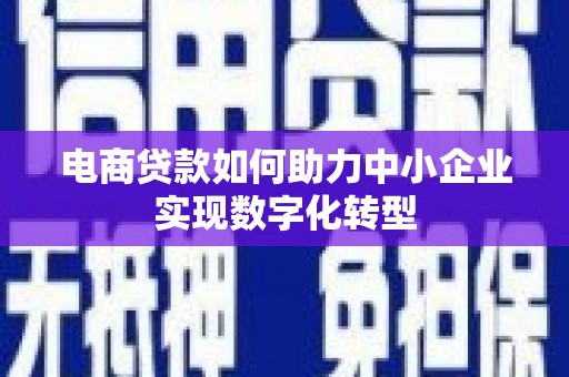 颍上电商贷款如何助力中小企业实现数字化转型