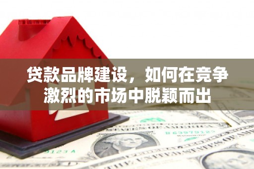 颍上贷款品牌建设，如何在竞争激烈的市场中脱颖而出