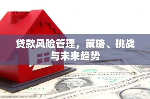 颍上贷款风险管理，策略、挑战与未来趋势