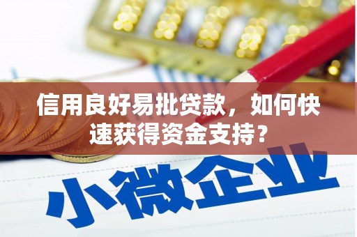 颍上信用良好易批贷款，如何快速获得资金支持？