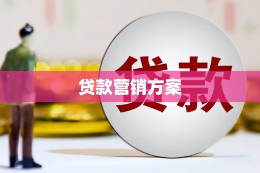 颍上贷款营销方案