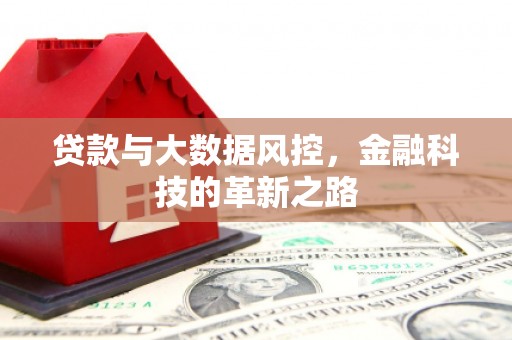 颍上贷款与大数据风控，金融科技的革新之路