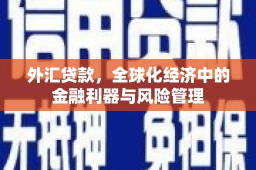 颍上外汇贷款，全球化经济中的金融利器与风险管理