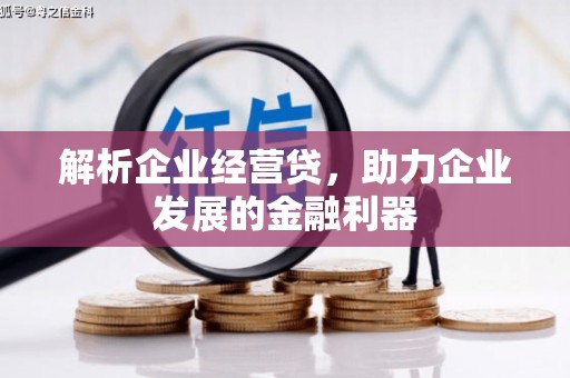 颍上解析企业经营贷，助力企业发展的金融利器