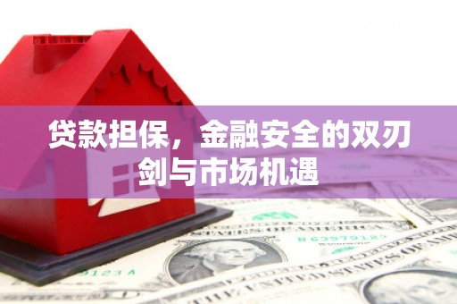 颍上贷款担保，金融安全的双刃剑与市场机遇