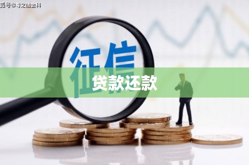 颍上贷款还款