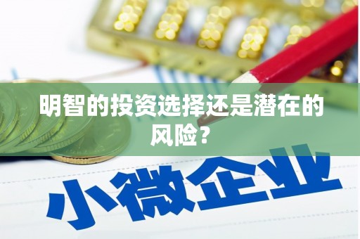 颍上明智的投资选择还是潜在的风险？