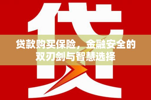 颍上贷款购买保险，金融安全的双刃剑与智慧选择