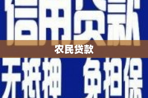 颍上农民贷款