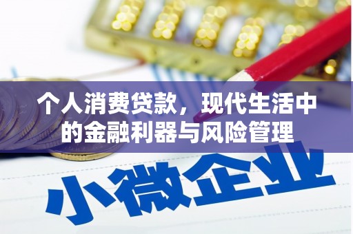 颍上个人消费贷款，现代生活中的金融利器与风险管理