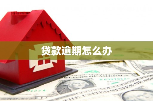 颍上贷款逾期怎么办