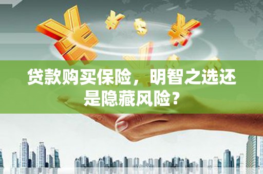 颍上贷款购买保险，明智之选还是隐藏风险？