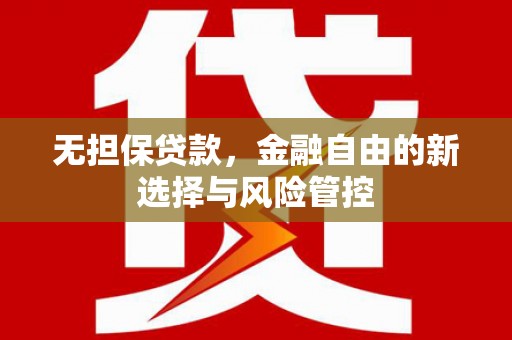 颍上无担保贷款，金融自由的新选择与风险管控