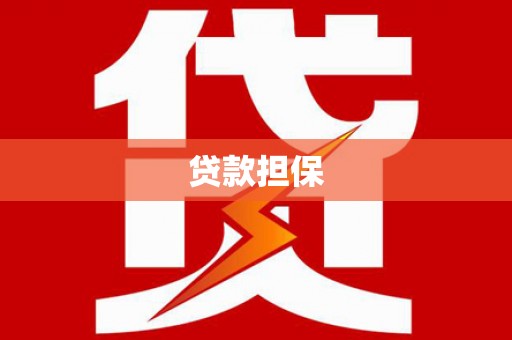 颍上贷款担保