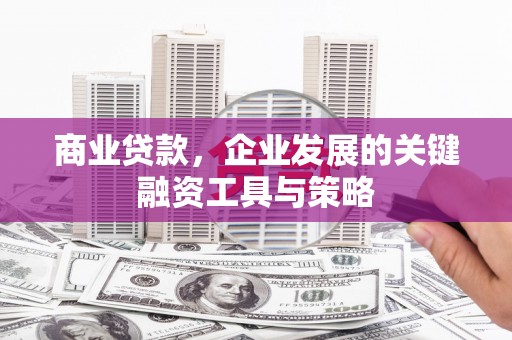 颍上商业贷款，企业发展的关键融资工具与策略