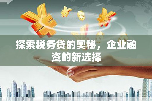 颍上探索税务贷的奥秘，企业融资的新选择