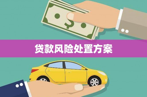 颍上贷款风险处置方案