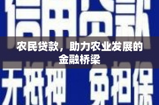颍上农民贷款，助力农业发展的金融桥梁
