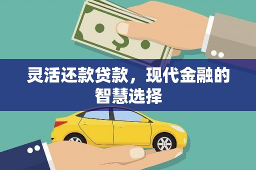 颍上灵活还款贷款，现代金融的智慧选择