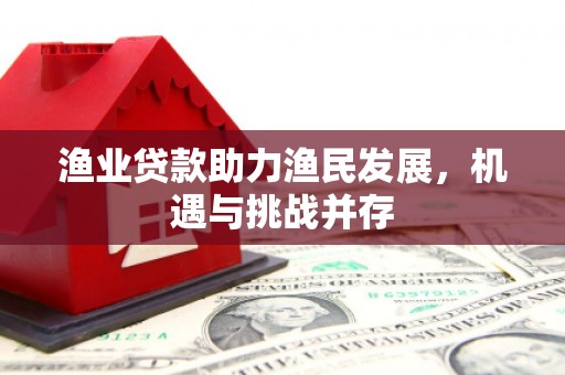 颍上渔业贷款助力渔民发展，机遇与挑战并存