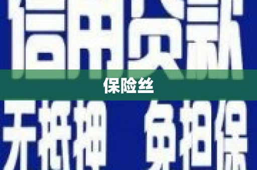 颍上保险丝