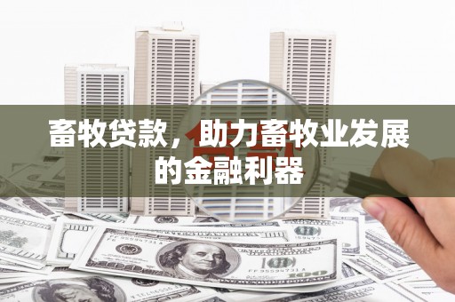 颍上畜牧贷款，助力畜牧业发展的金融利器