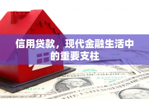 颍上信用贷款，现代金融生活中的重要支柱