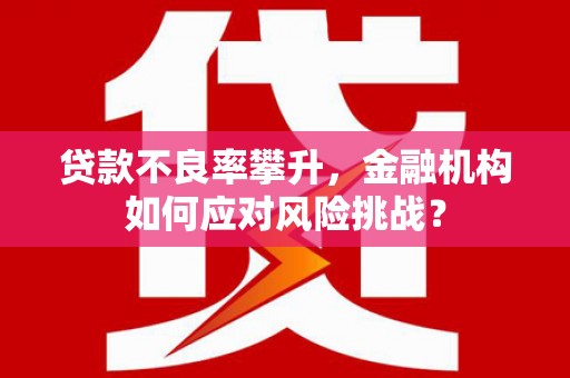 颍上贷款不良率攀升，金融机构如何应对风险挑战？