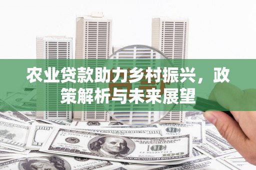 颍上农业贷款助力乡村振兴，政策解析与未来展望