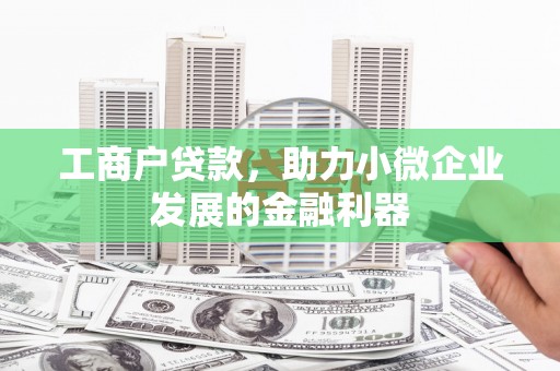 颍上工商户贷款，助力小微企业发展的金融利器