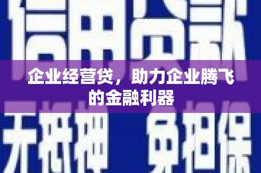 颍上企业经营贷，助力企业腾飞的金融利器