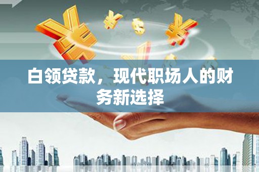 颍上白领贷款，现代职场人的财务新选择