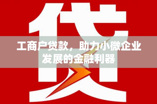 颍上工商户贷款，助力小微企业发展的金融利器
