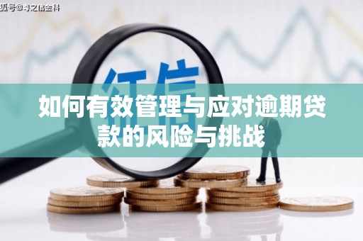 颍上如何有效管理与应对逾期贷款的风险与挑战