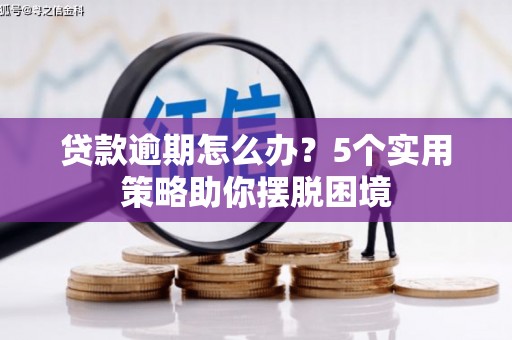 颍上贷款逾期怎么办？5个实用策略助你摆脱困境
