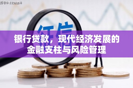 颍上银行贷款，现代经济发展的金融支柱与风险管理