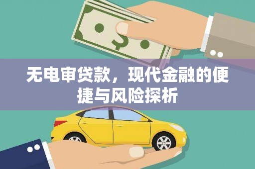 颍上无电审贷款，现代金融的便捷与风险探析