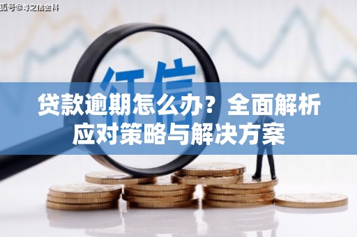 颍上贷款逾期怎么办？全面解析应对策略与解决方案