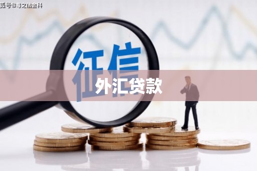 颍上外汇贷款