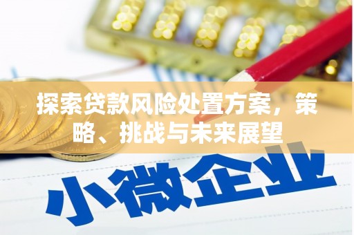 颍上探索贷款风险处置方案，策略、挑战与未来展望
