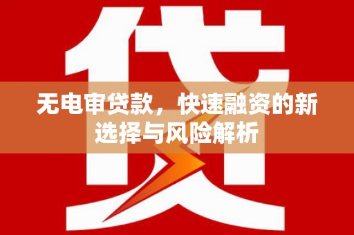 颍上无电审贷款，快速融资的新选择与风险解析