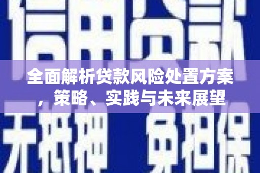 颍上全面解析贷款风险处置方案，策略、实践与未来展望